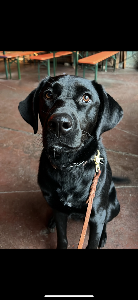 Kona 