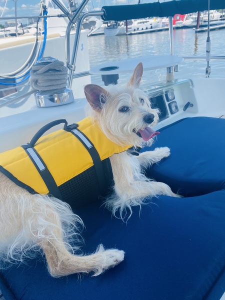 Suzie