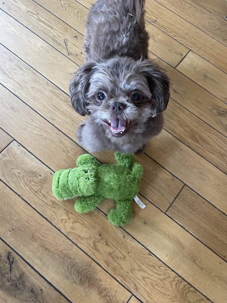 Obie