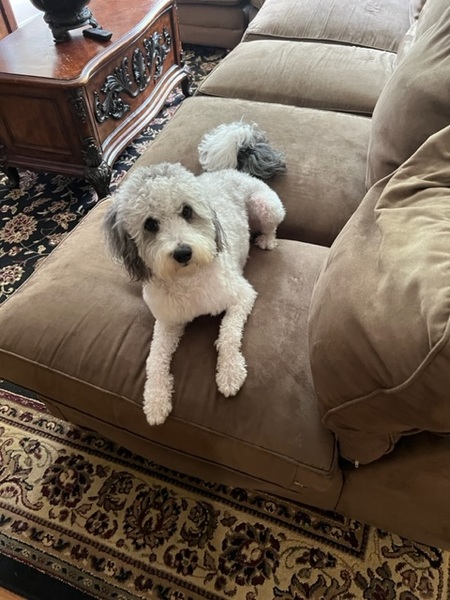 Petey