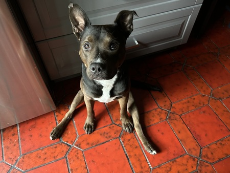 Luca
