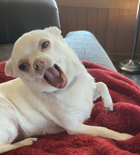 Miss Violet Spry 