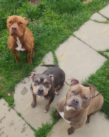 Nala Rae, Mavis Janesl and Kora Lynn