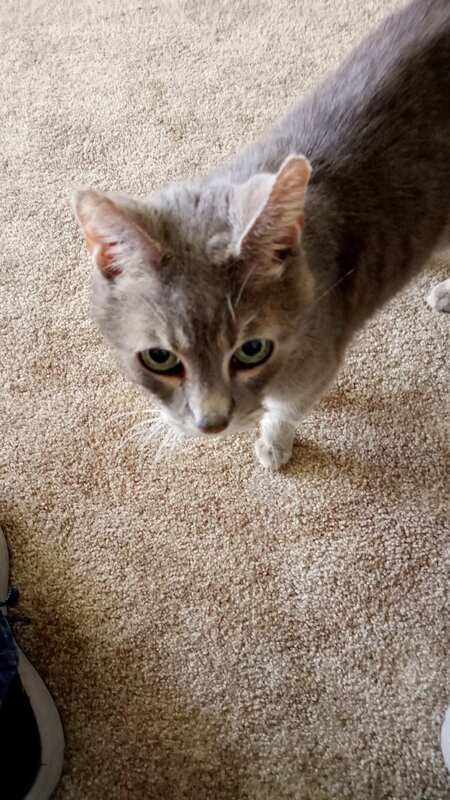 Max 
