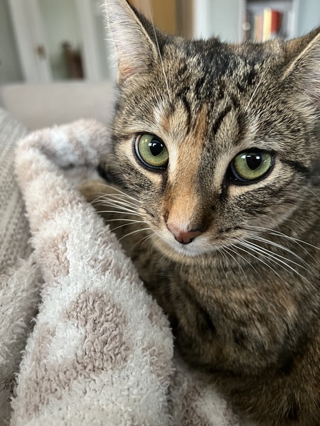 Mia