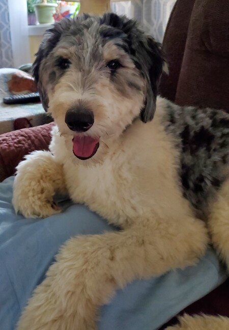 Murphy