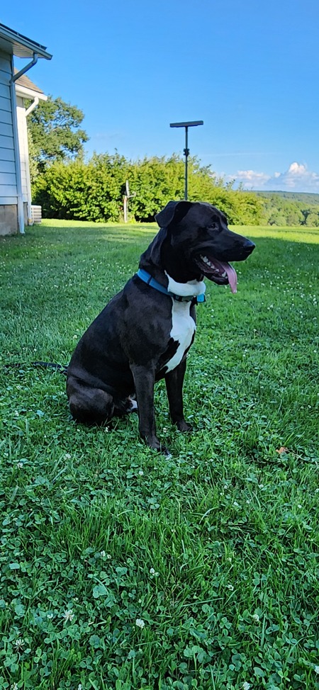 Axle