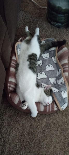 Oliver
