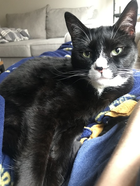 Mia 