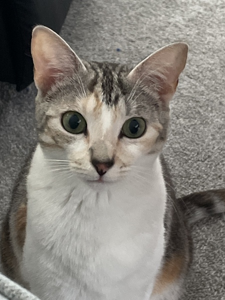 Kaia aka “Meep Meep”