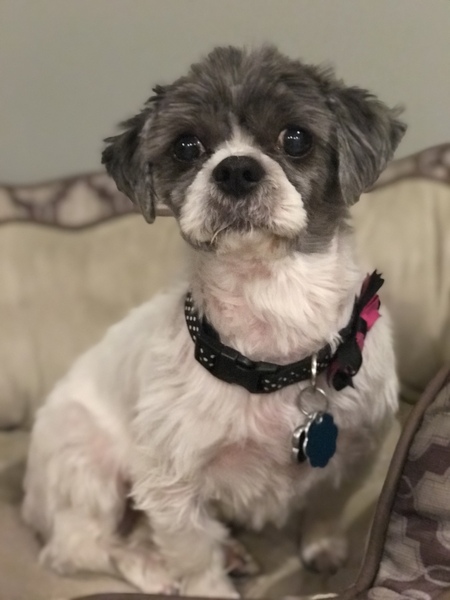 Millie