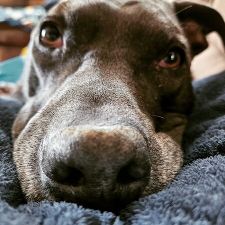 Cooper