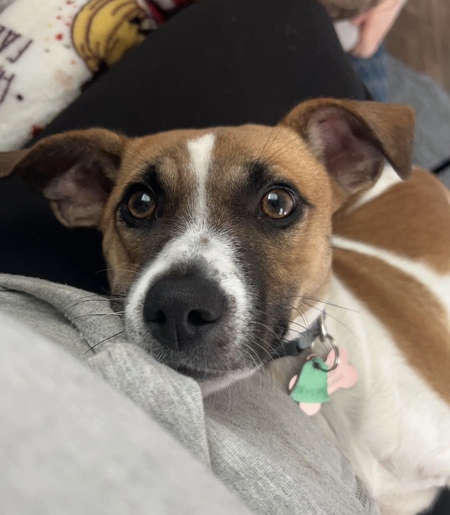 Lilly