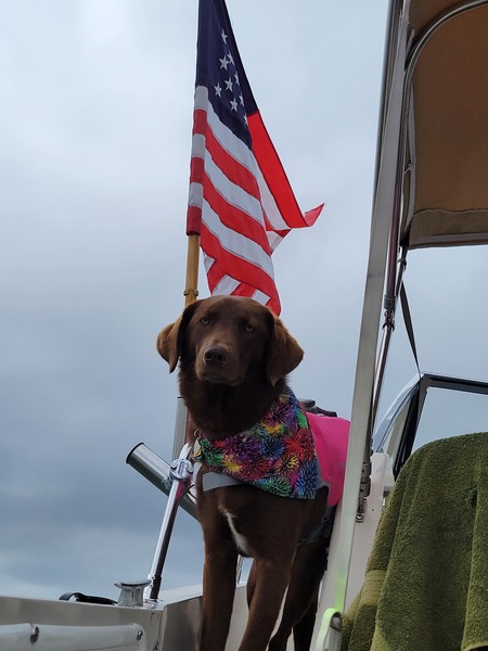 Gracie