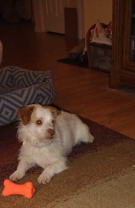 MacDuff