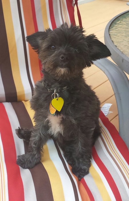 Sebastian 