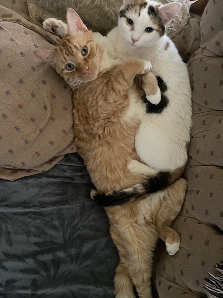 Benny & Darla