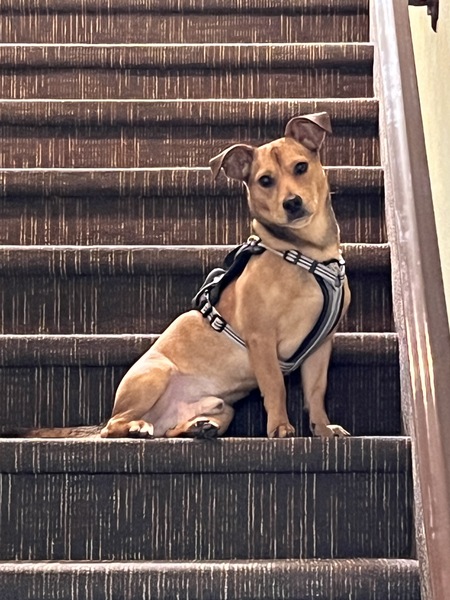 Baxter