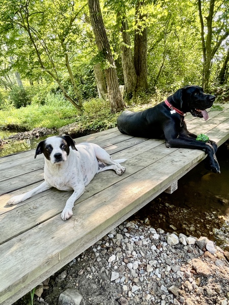 Mia & Orvis 