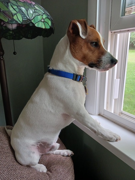 Buster