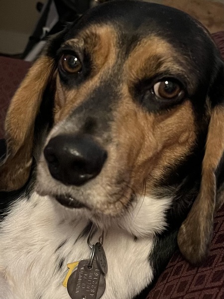 Astro
