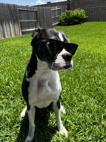 Dakota