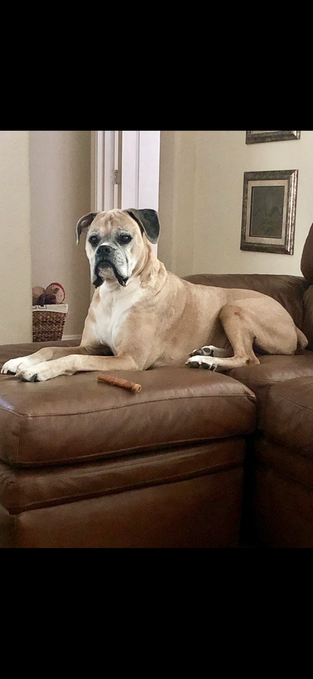 Boudreaux 