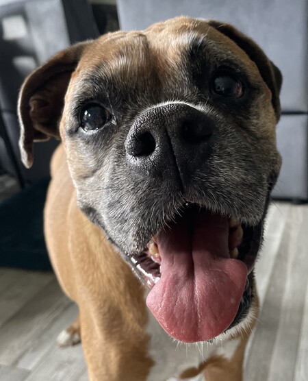 Zoey