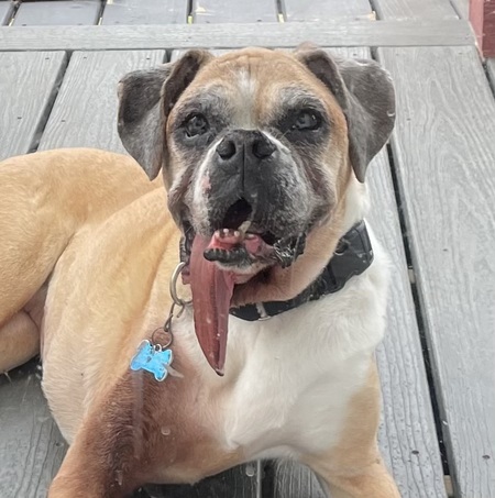 Etta
