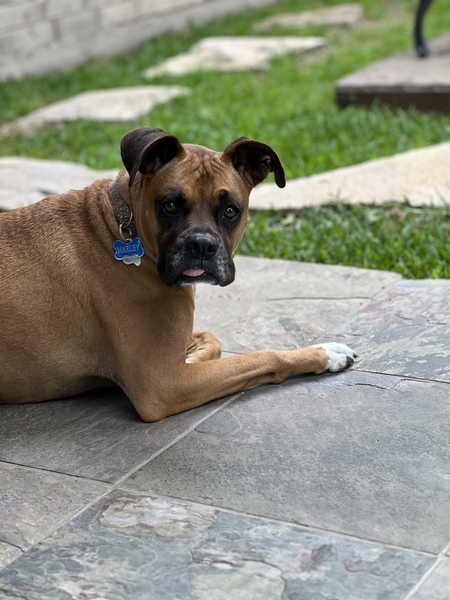 Marley 