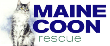 Logo for Maine Coon Rescue’s Calendar Photo Contest