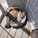 Entry image for Coltrane & Buster