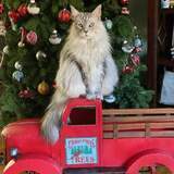 Entry image for Chase