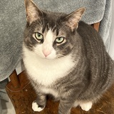 Entry image for Toby