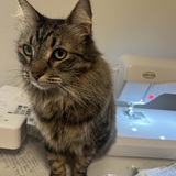 Entry image for Chase