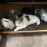 Entry image for Sasha aka( Little Bit)