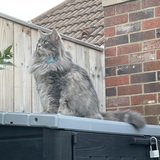 Entry image for Jacob