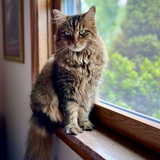 Entry image for Rosie Given