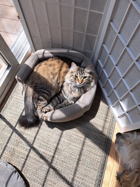 Entry image for Coltrane & Buster. Clicking this image will show a larger photo