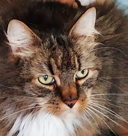 Entry image for Charlie. Clicking this image will show a larger photo