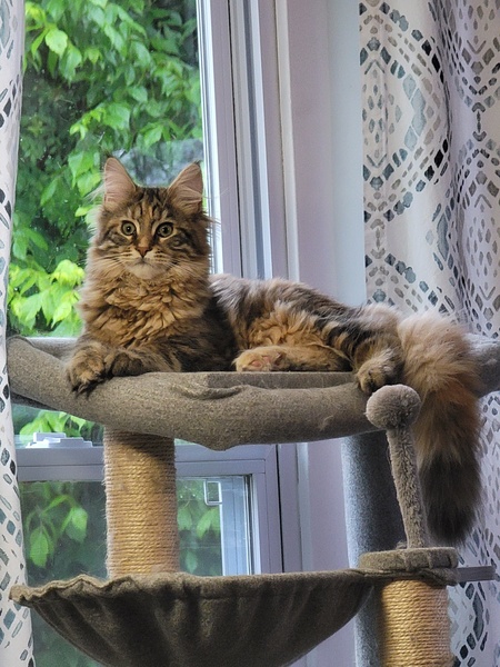 Entry image for Elsa. Clicking this image will show a larger photo