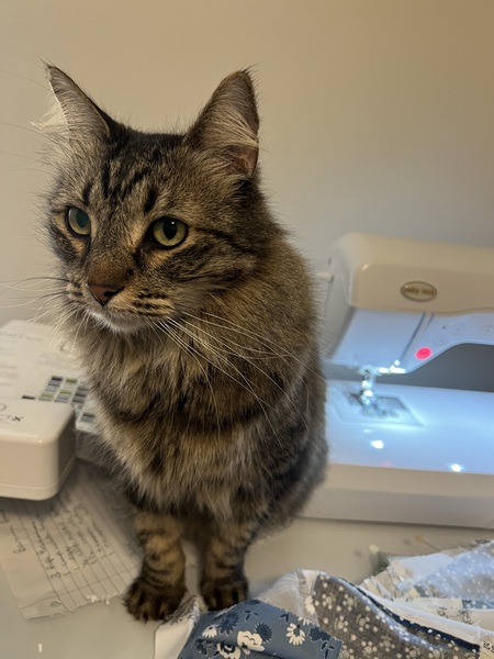 Entry image for Chase. Clicking this image will show a larger photo