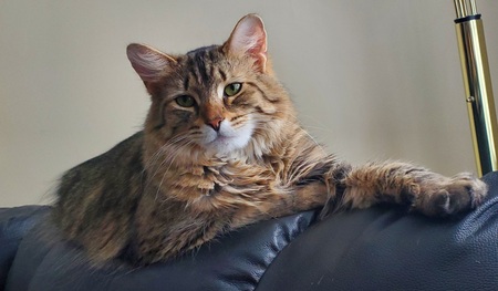 Entry image for PRINCE LEUM. Clicking this image will show a larger photo