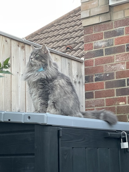 Entry image for Jacob. Clicking this image will show a larger photo