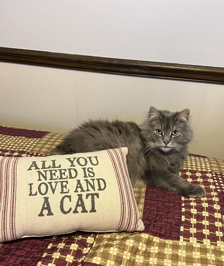 Entry image for Charles. Clicking this image will show a larger photo