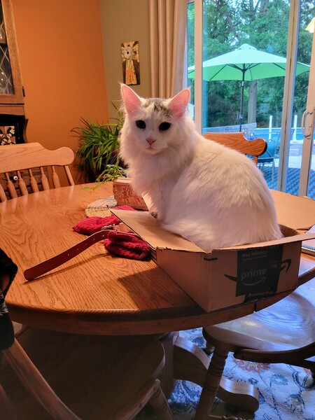 Entry image for Gibson. Clicking this image will show a larger photo