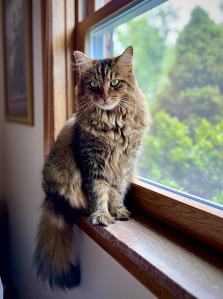 Entry image for Rosie Given. Clicking this image will show a larger photo