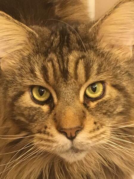 Entry image for Bob . Clicking this image will show a larger photo