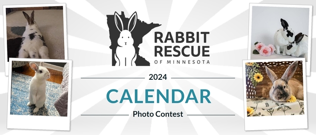 Rabbit Rescue of MN | Rabbit Rescue of Minnesota 2024 Calendar Photo ...
