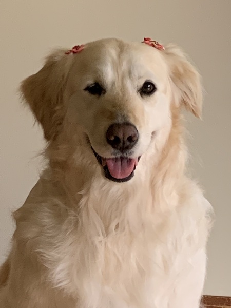 Rita